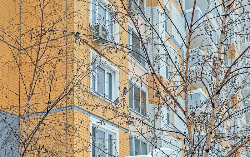 Чечетки на обеде фото превью