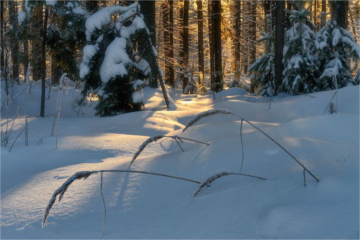 , Анатолий Гулин
