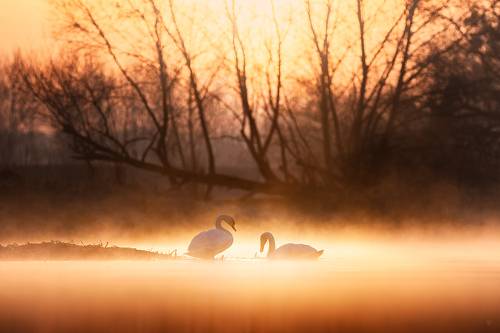Nature Reserve