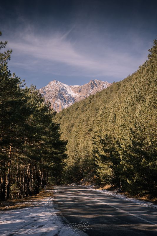 горы, снег, лед, река, замерзшая река, лес, деревья, утро, рассвет, рассвет в горах, сосны, хвойные деревья, осетия, кавказ, солнечный день Зимнее утро. фото превью