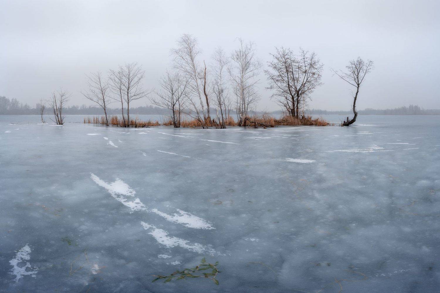 , Alexander Dvorichanskiy