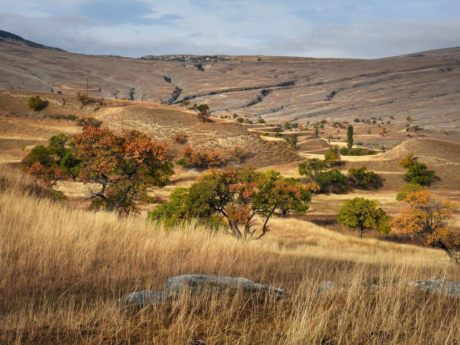 Дагестан, Кавказ, Лесина Елена