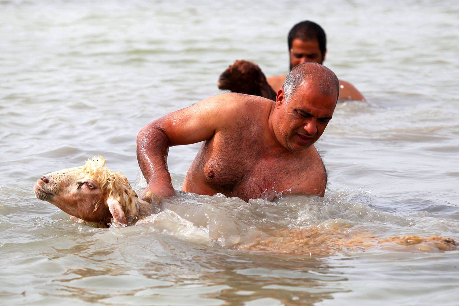 , mehdi karimi souderjani