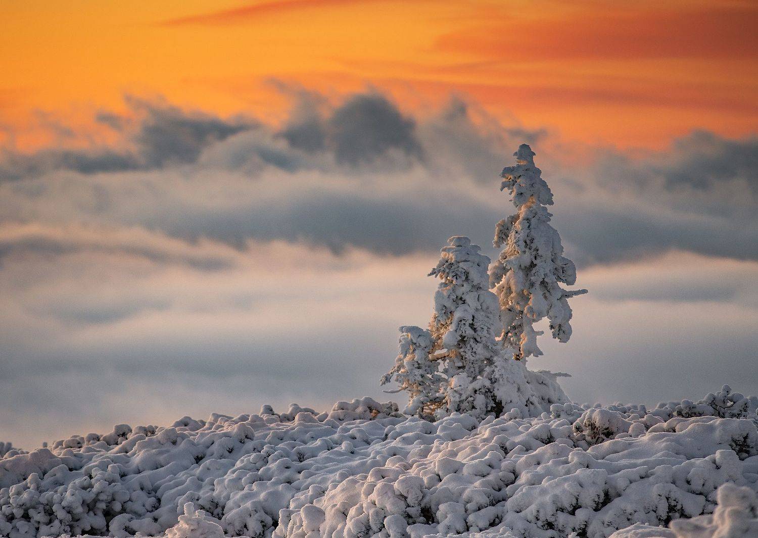 #Karkonosze #National Park #Zima #Snow #Landscape #mountains #g&oacute;ry, Sebastian Jakubowski
