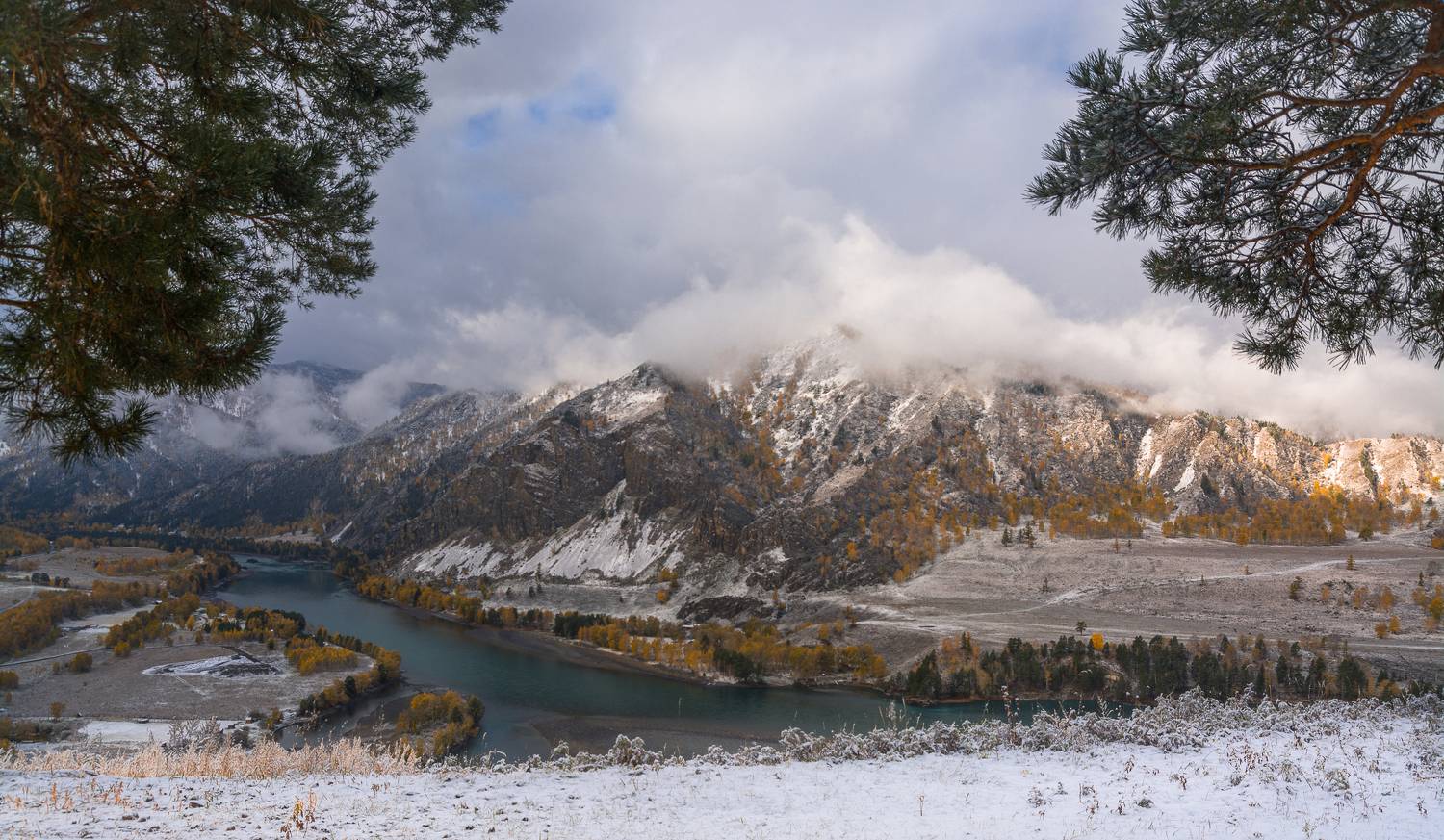 россия, горный алтай, река катунь, осень,утро, Андрей Поляков