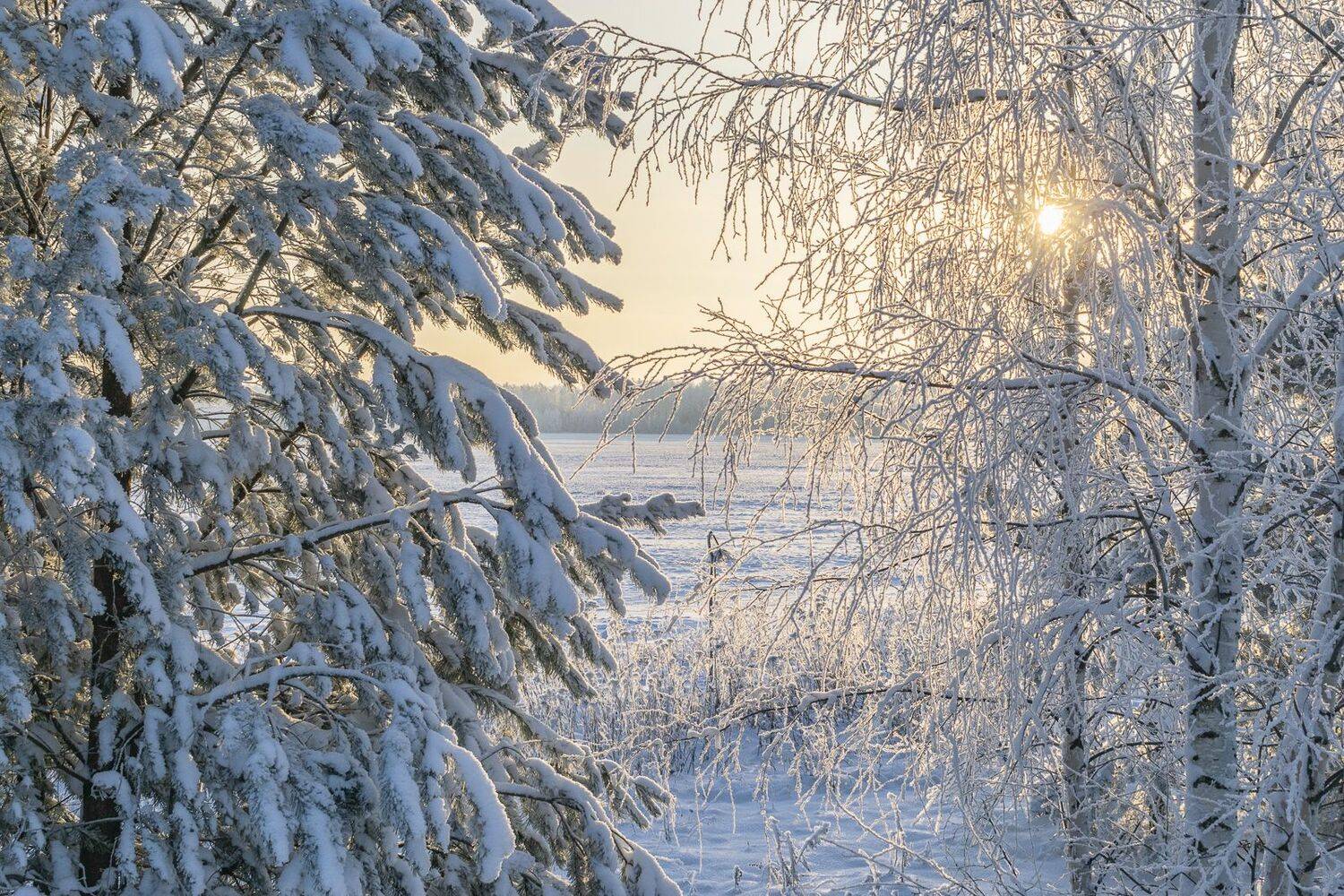 , Галина Луценко