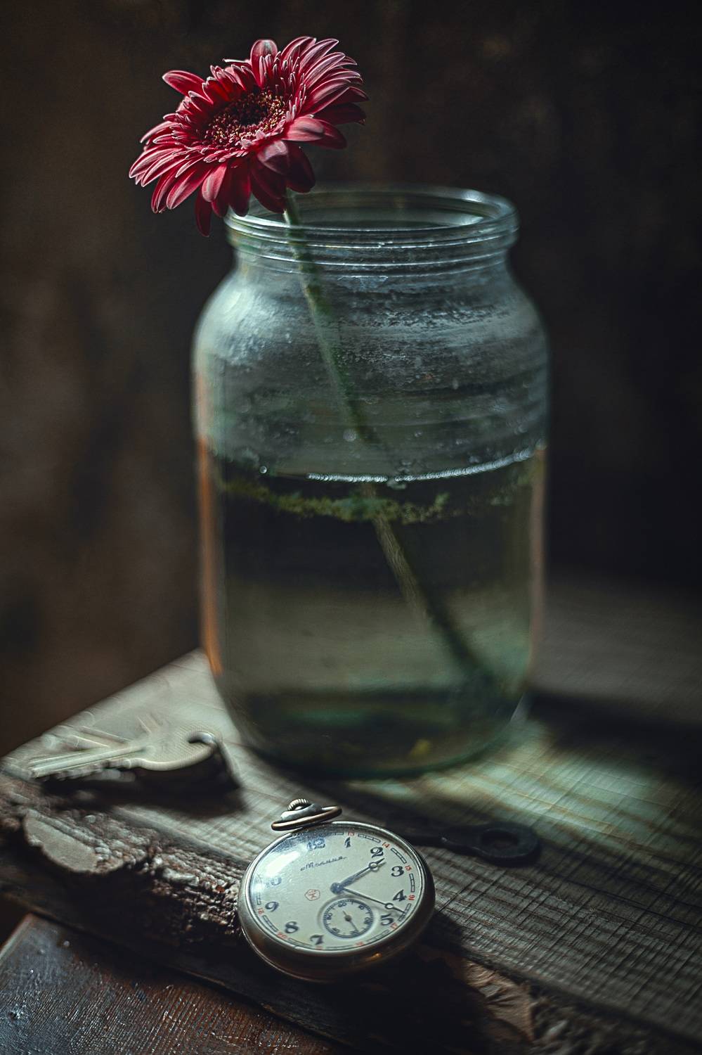 , Владимир Осауленко