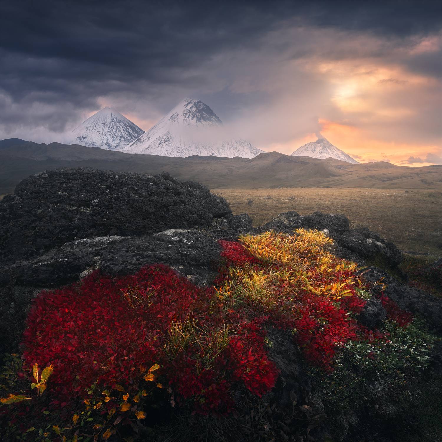 , Политова Анна