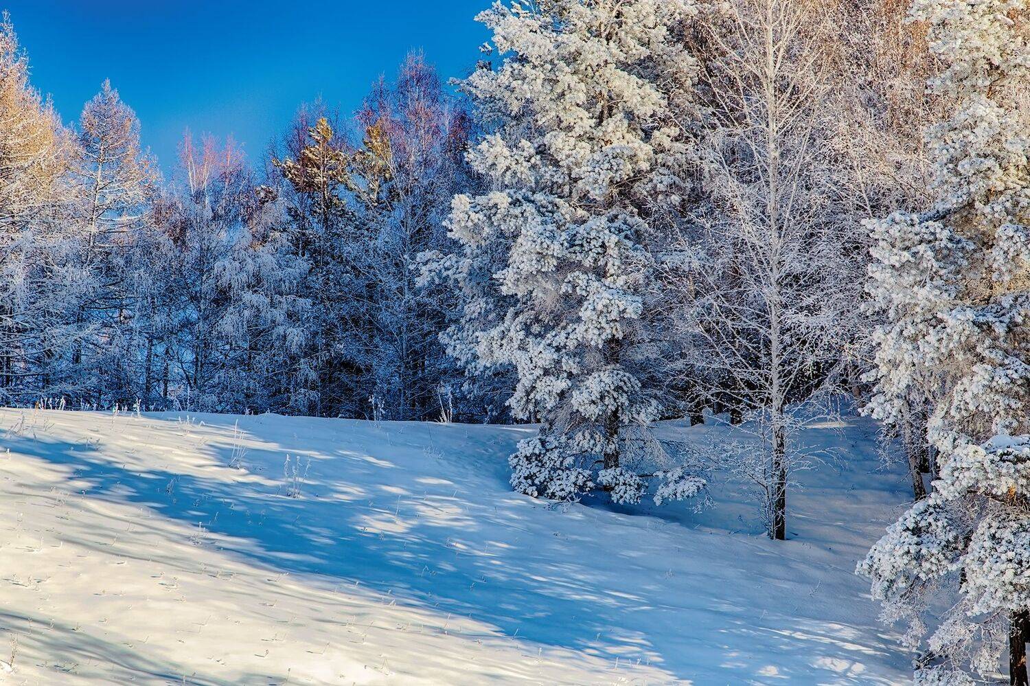 кыргызстан, ак-тюз, Элина Магалимова