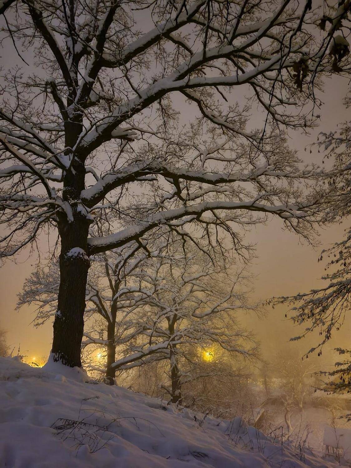 , Сергей Шляга