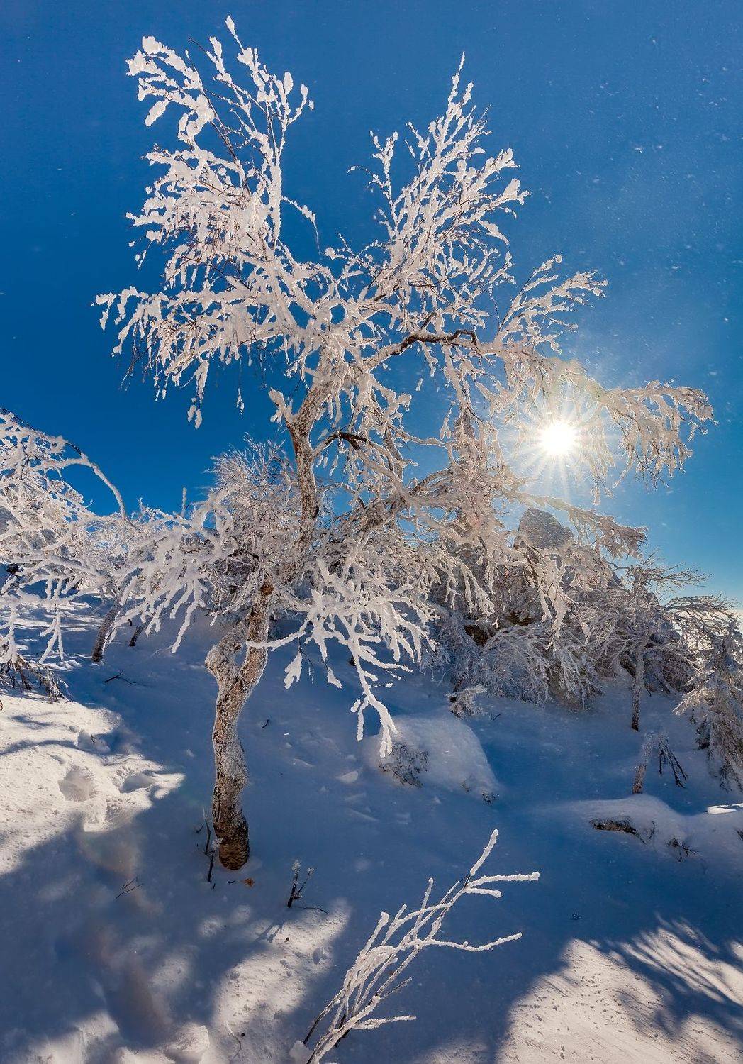 , Сергей Евдокимов