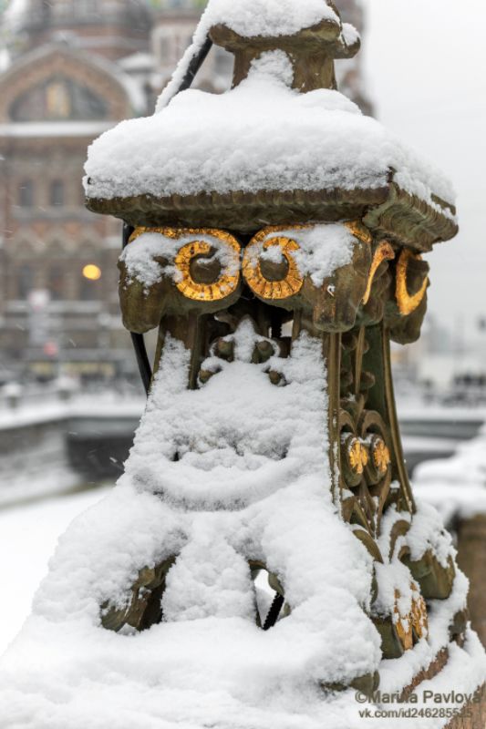 Снежная улыбка. ПричудыПитерской зимы фото превью