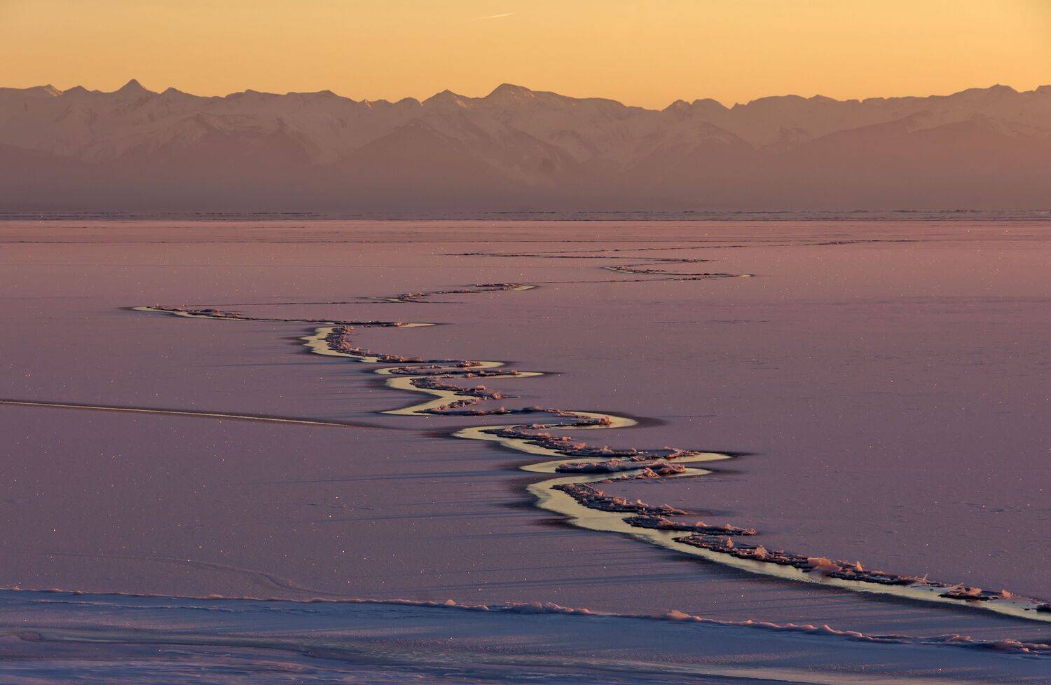 , Грищенко Ирина