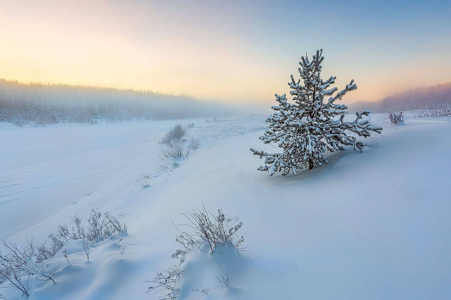 , Лисаускас Илья
