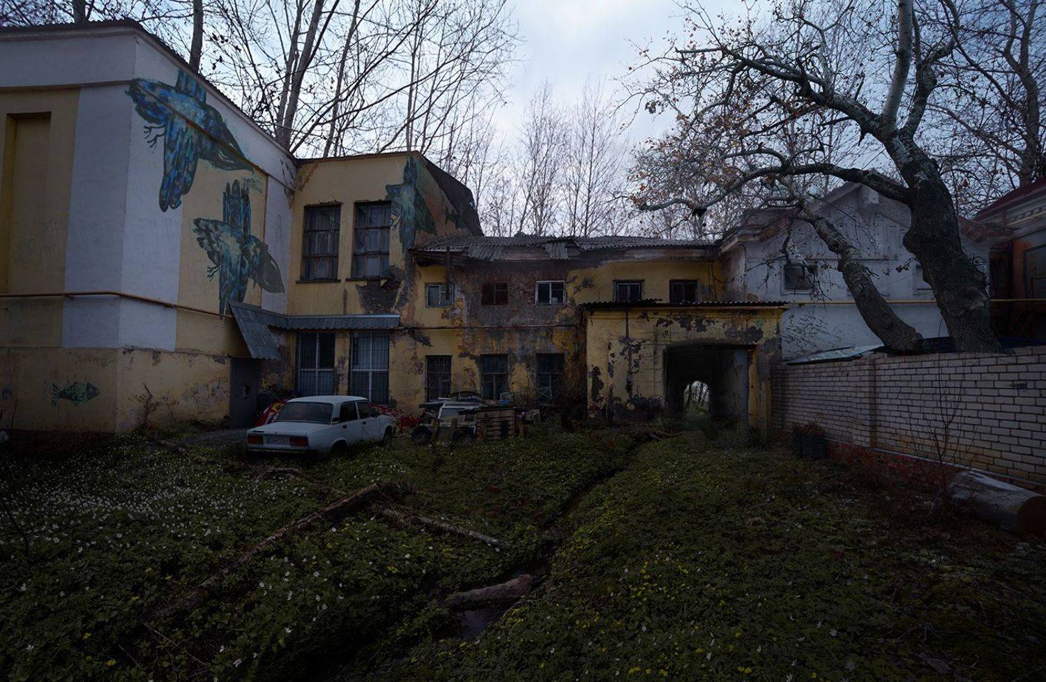 , Дeнис Бoдрoв