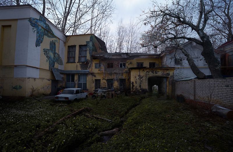 ___ фото превью