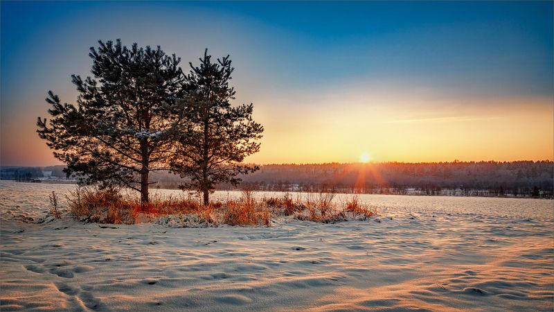 пейзаж, зима, вечер, деревня, свет, цвет, александр никитинский Зимний вечер... фото превью