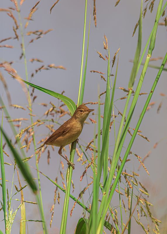 Вспоминая лето фото превью