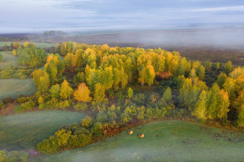 ... фото превью