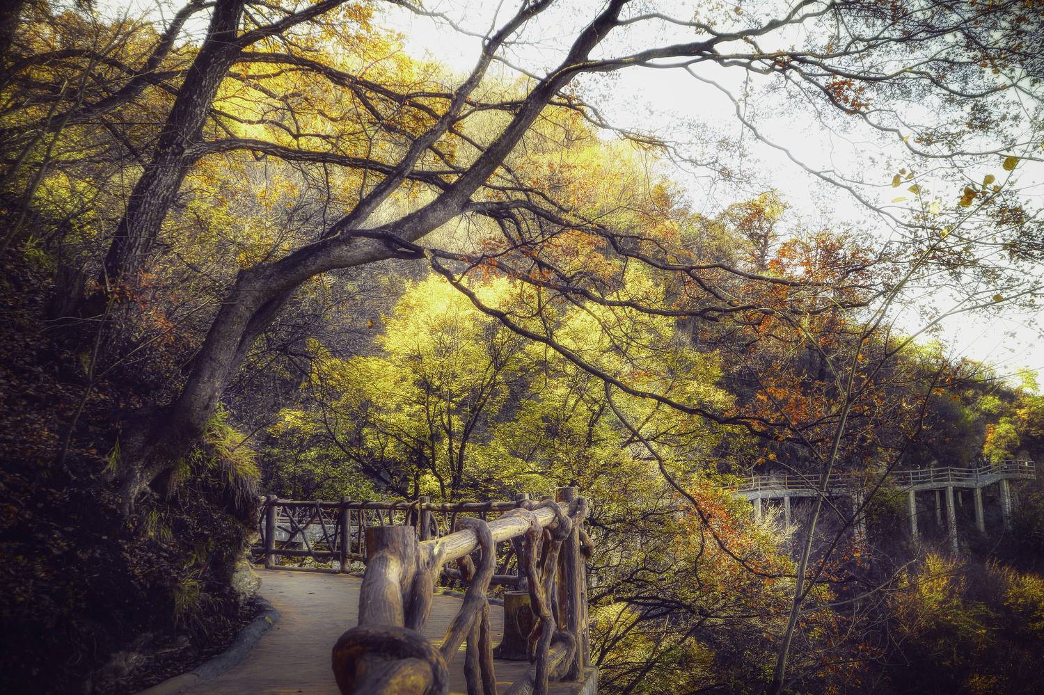 少华秋 07, 吴 微雨墨烟鸿