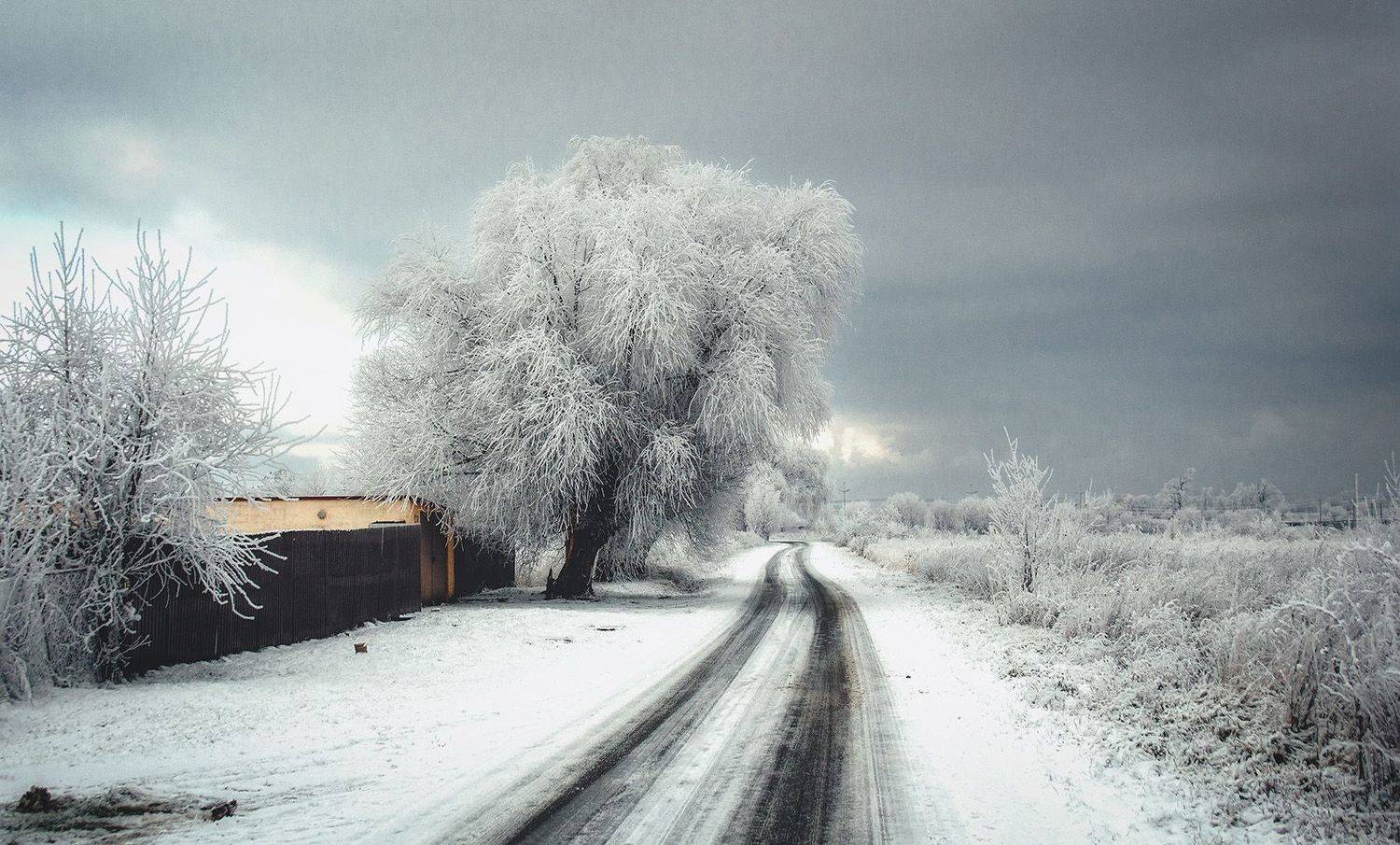 , Павел Дунюшкин