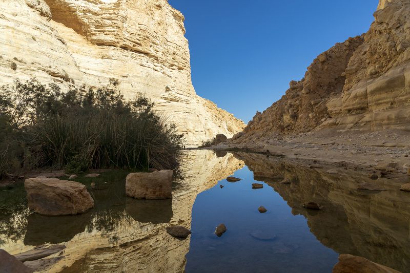 desert фото превью