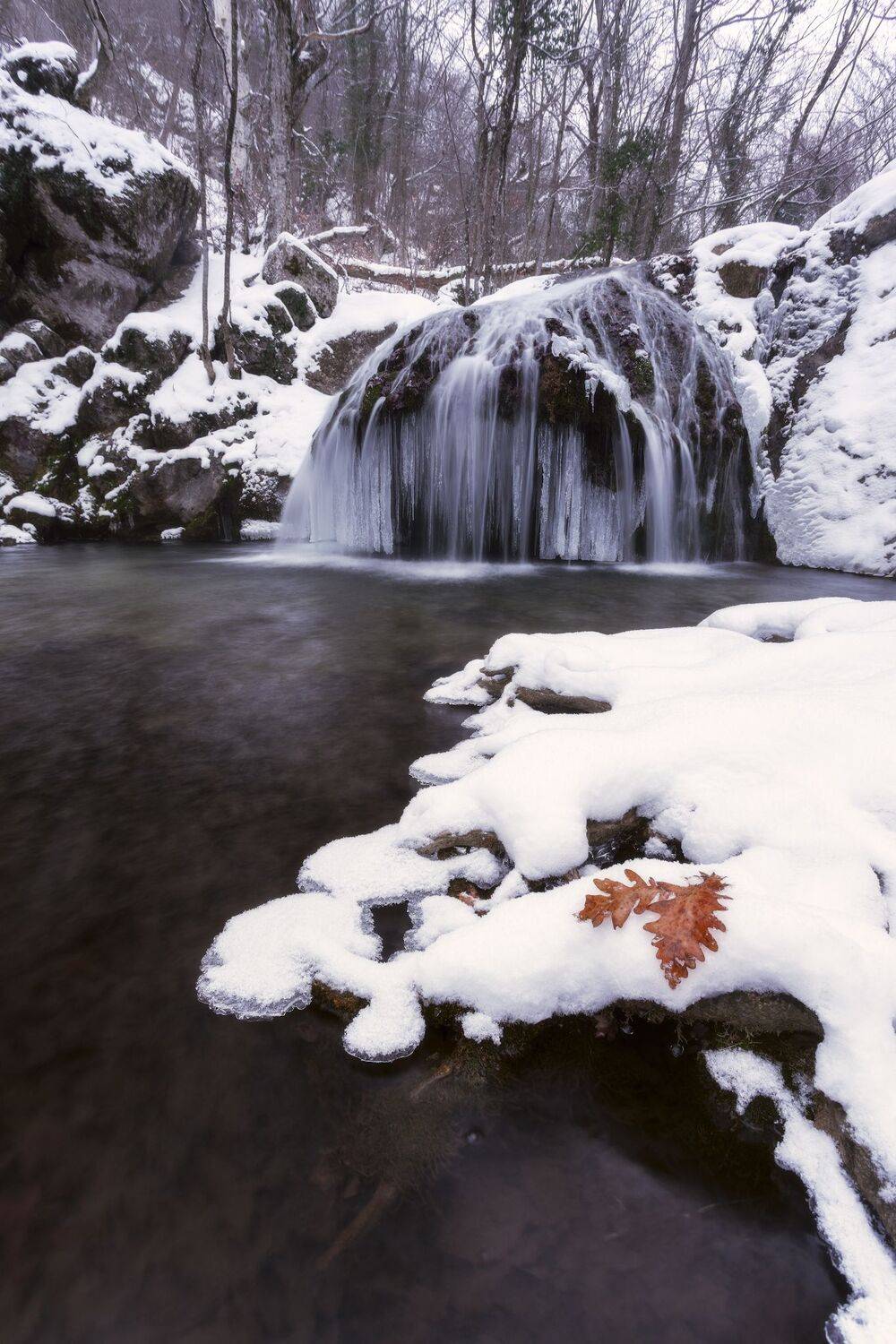 , Юлия Мальцева