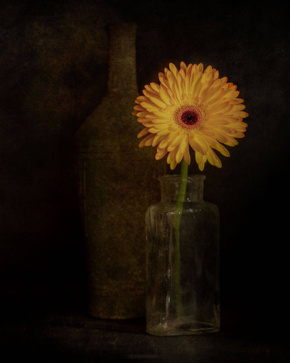 , Дмитрий Чернин