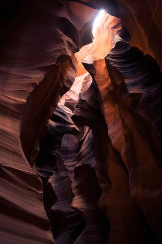 Treasure of Antilope 3