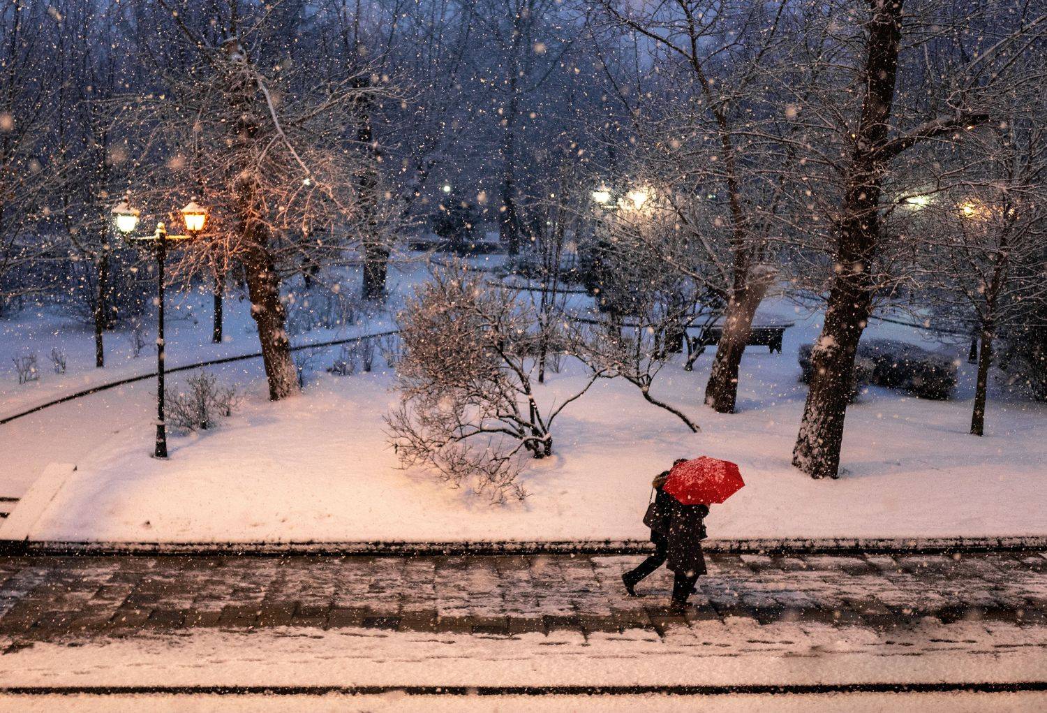 , Дмитрий Демидов