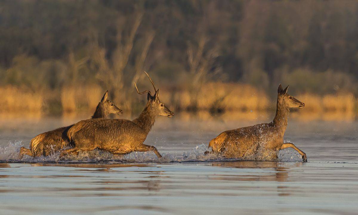 , Sławek Przybylski