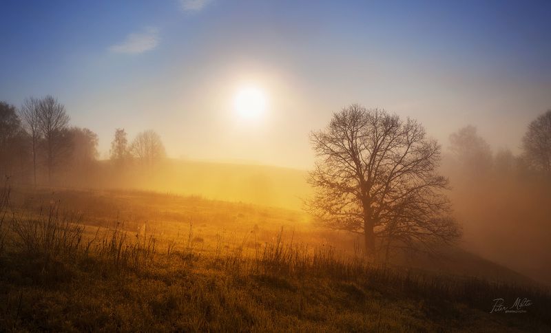 Желтая река фото превью