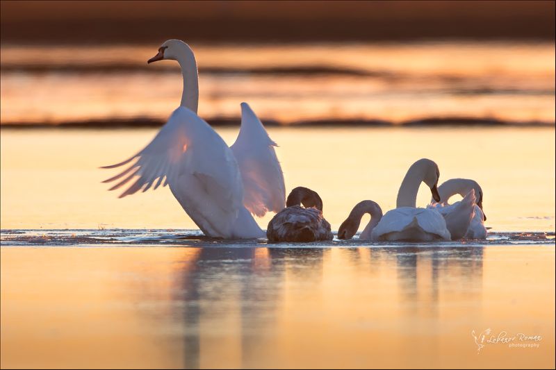 Битва с морозом фото превью