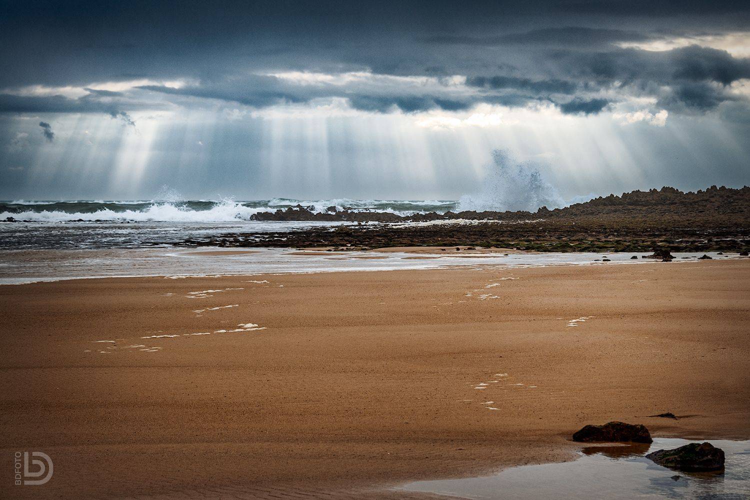 , Дмитрий Бакулин