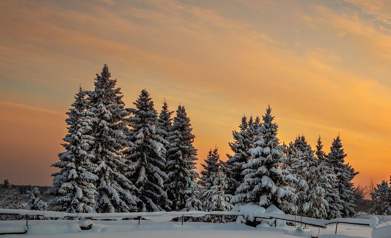 зима,закаы,мороз,холод,коми,север,снег,ноый год,красота,тишина,winter, К Новому году готовы! фото превью