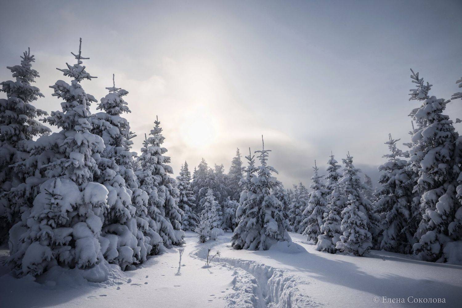 уван, гора уван, челябинская область, зимний лес, зимний пейзаж, Соколова Елена
