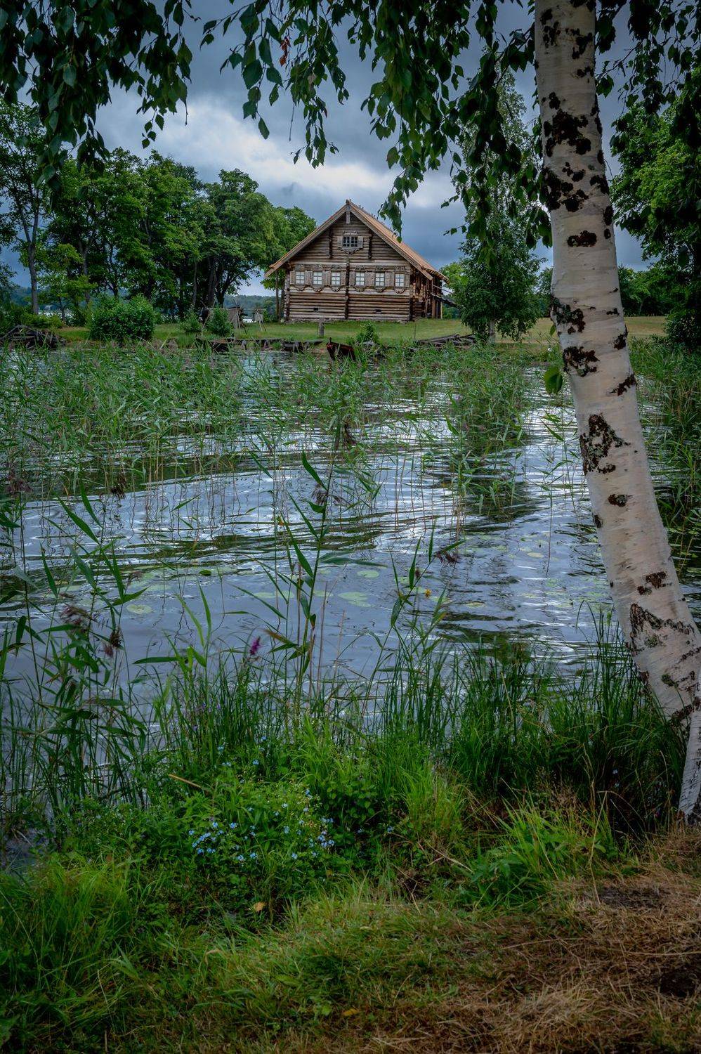 , Васильев Андрей