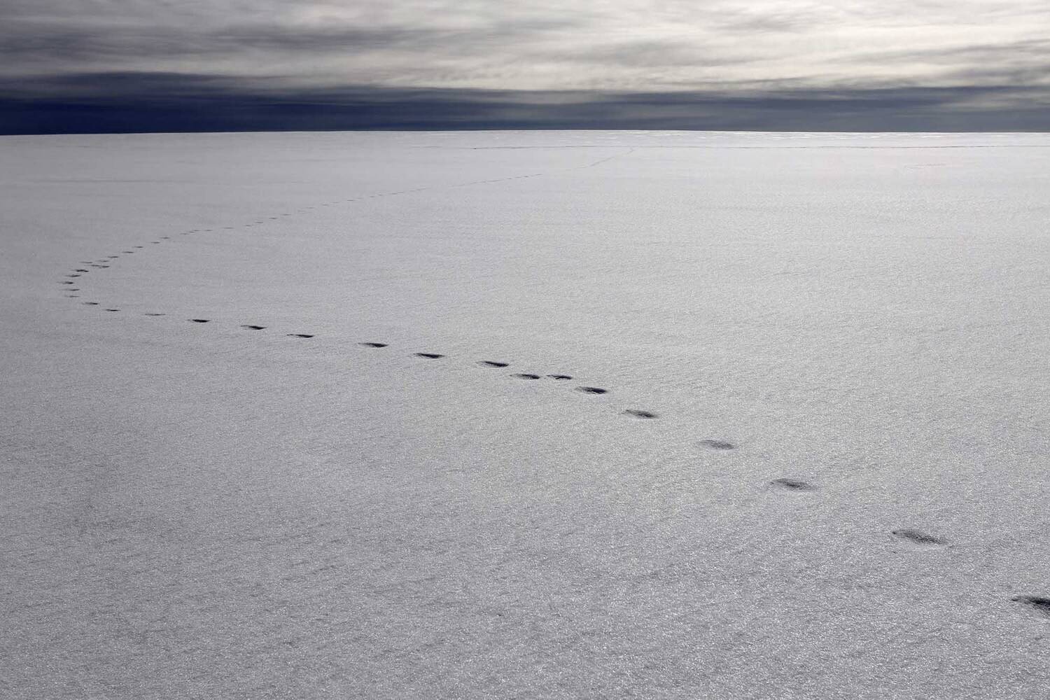 , Павел Мартюшев