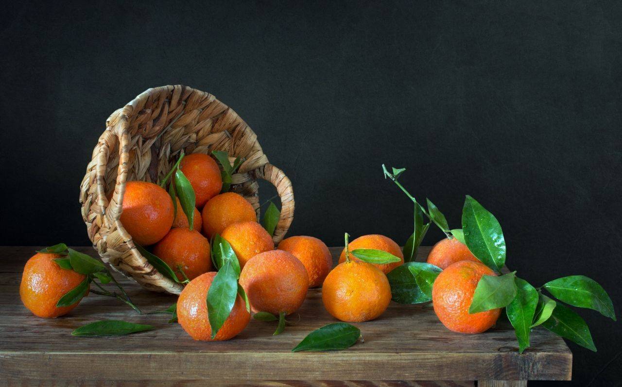 , Людмила Бекман