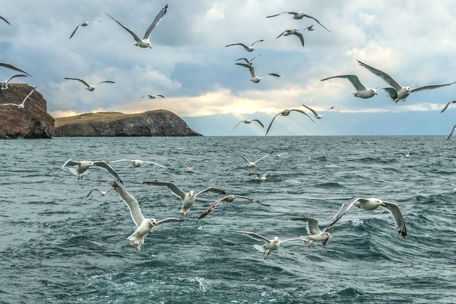 , Грищенко Ирина