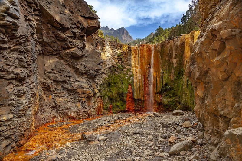 Złoty Potok, Wyspy Kanaryjskie Hiszpania фото превью