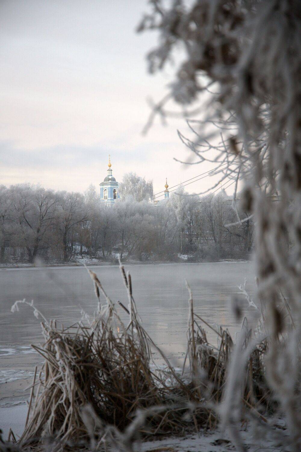 , Елена Колосова
