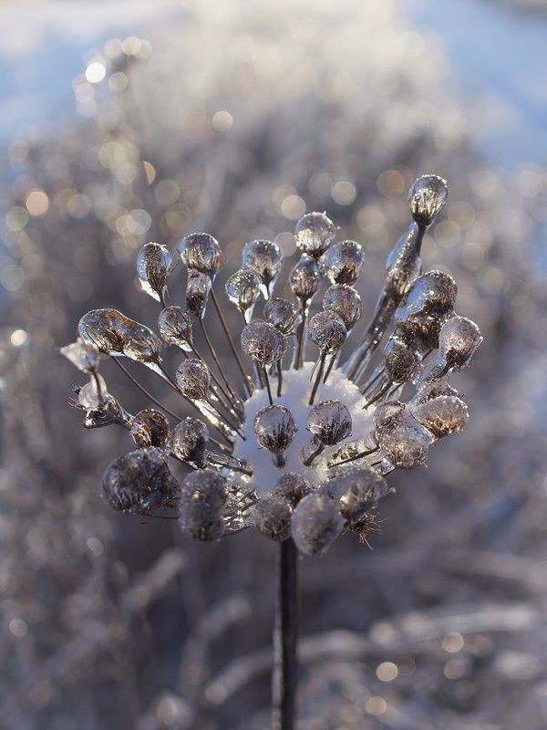 Зонтик фото превью