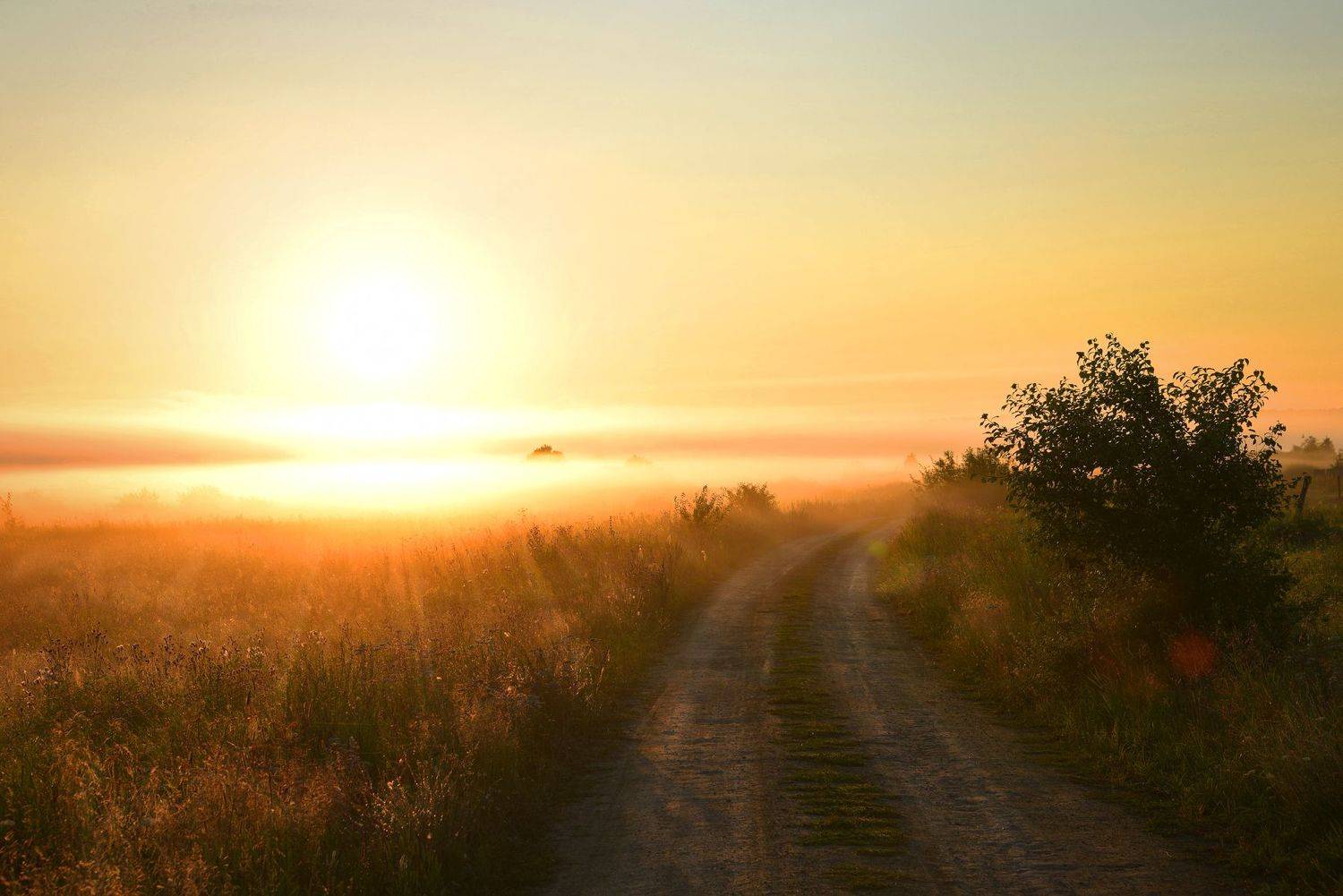 , Александр Степочкин