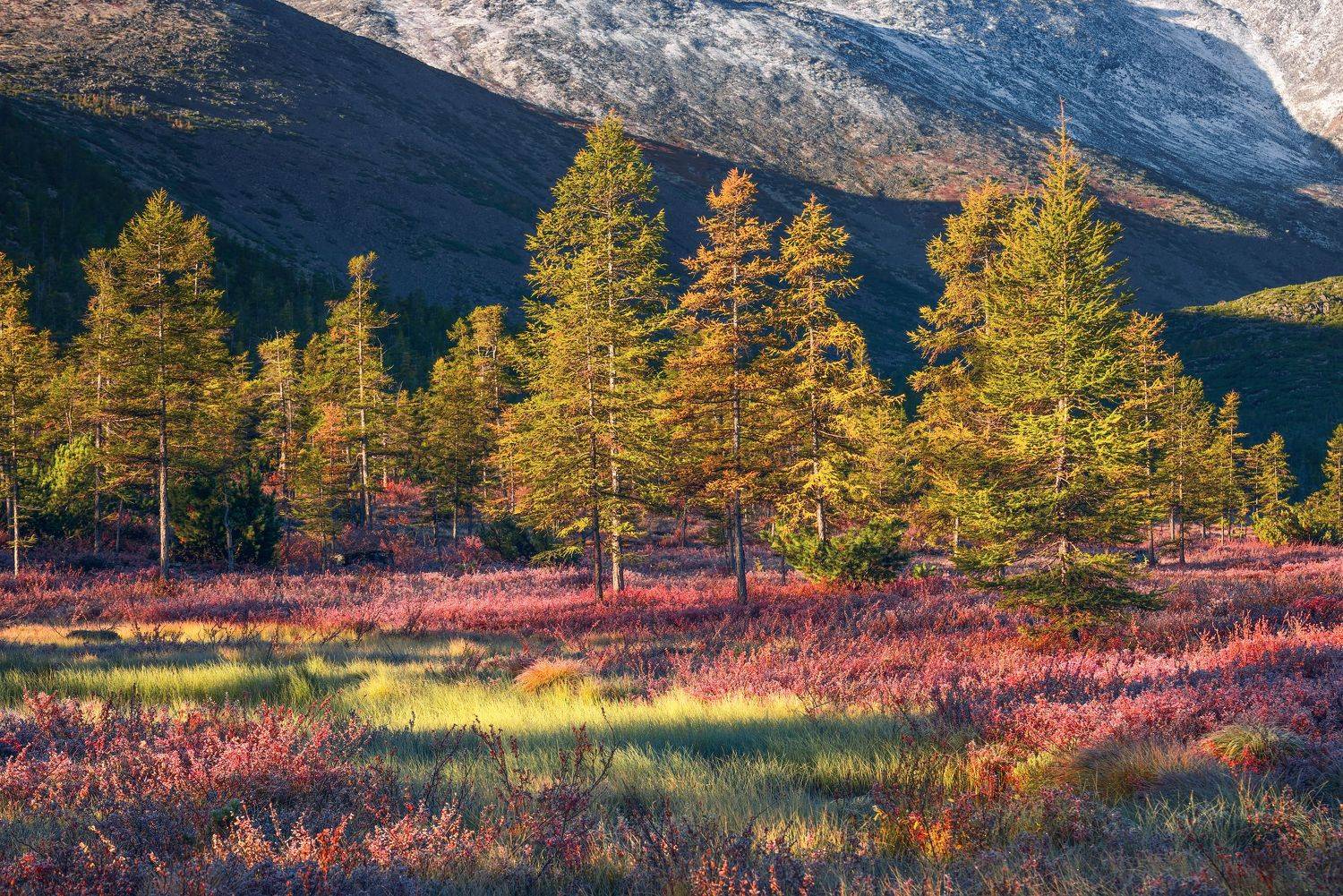 , Максим Евдокимов (phototourtravel.ru)