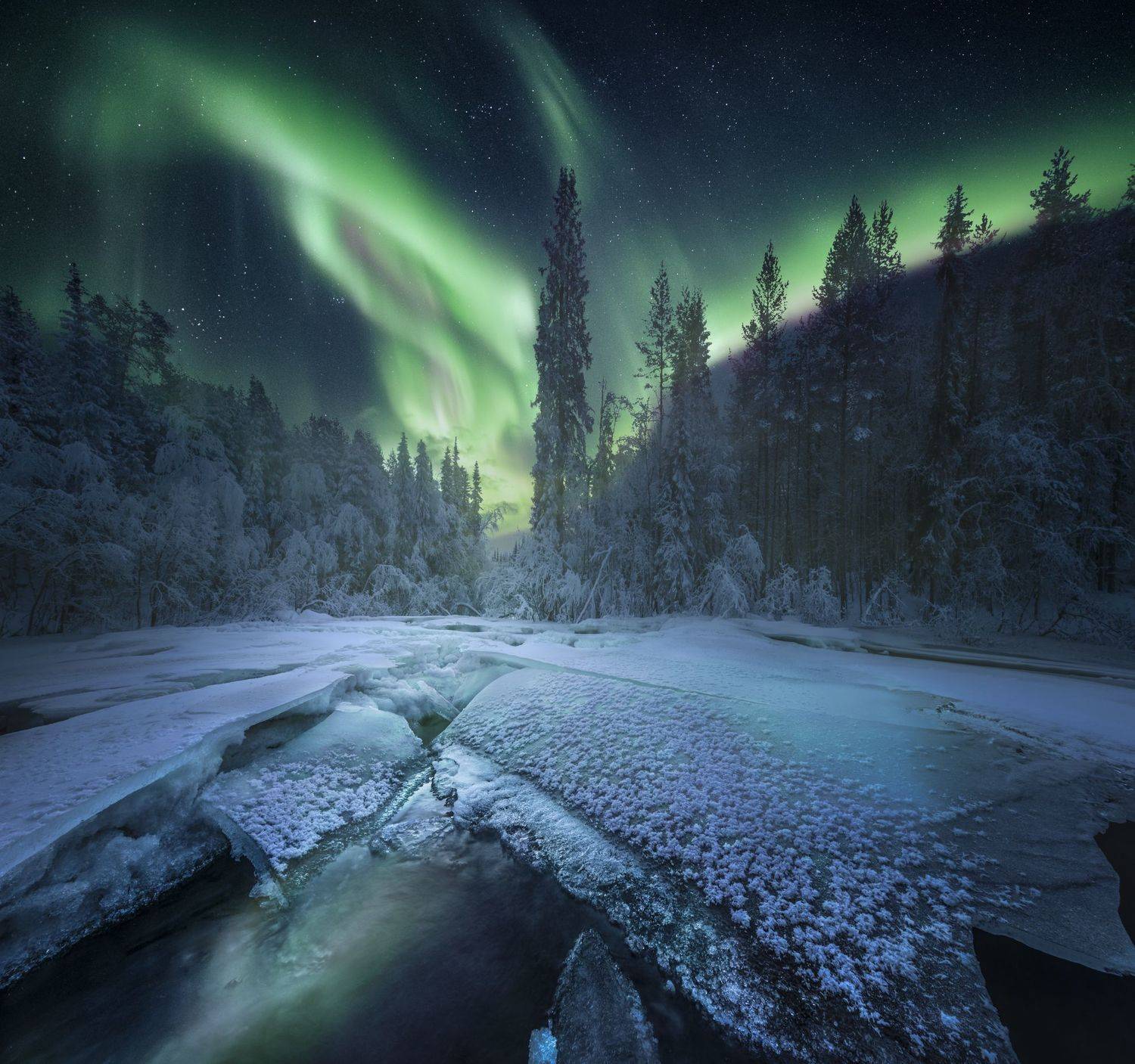 кольский полуостров,кольский,зима,winter,snow,kola peninsula,forest,aurora borealis,  Aleksey R.