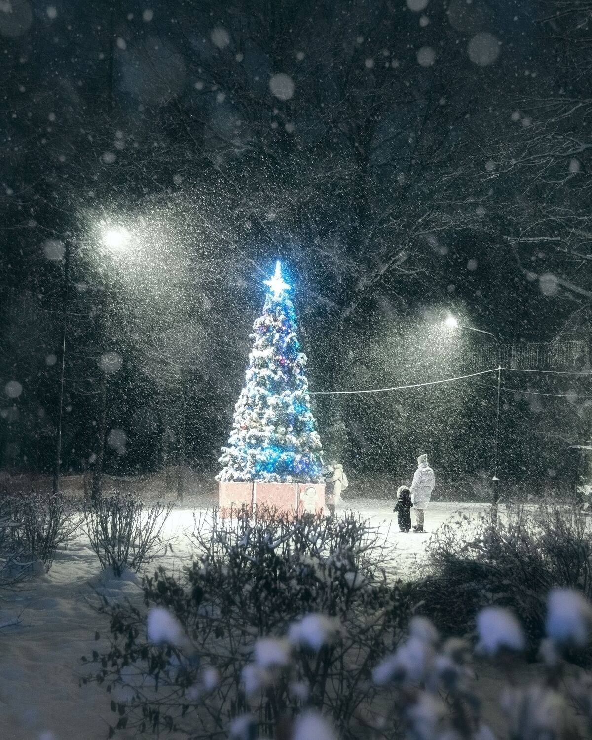 Новый год, елка, снегопад, зима, 2022, новогодняя елка, Мартыненко Дмитрий