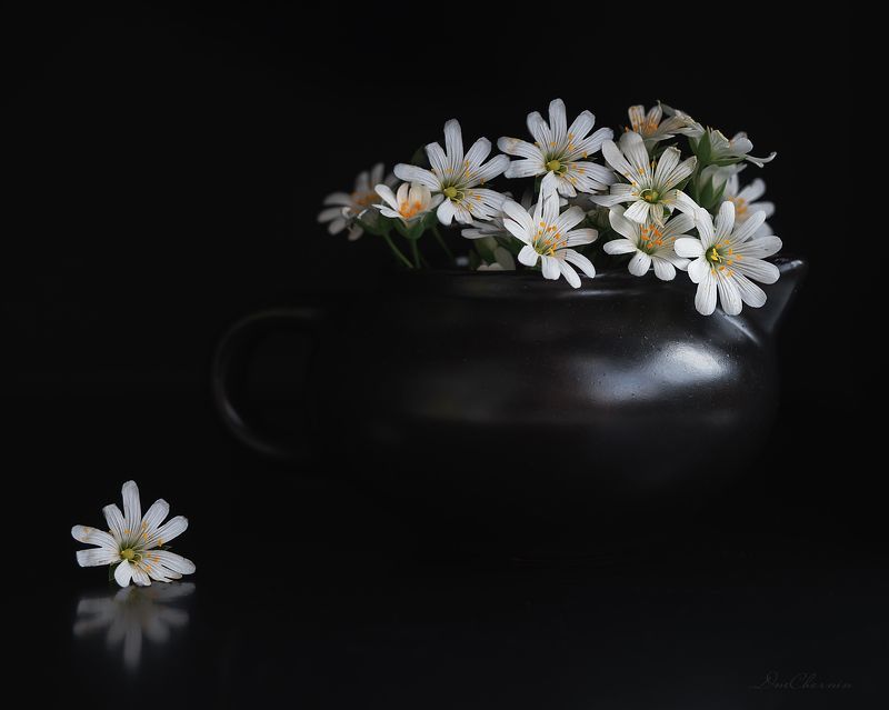 .... фото превью