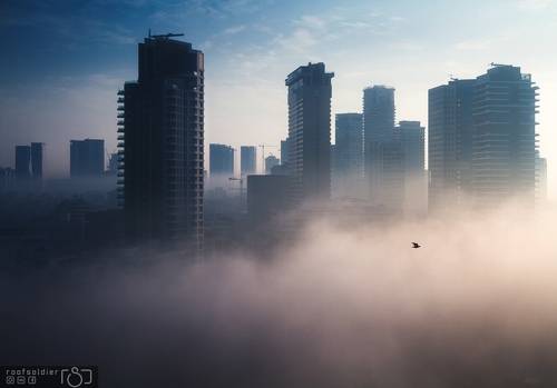 Fog in Tel Aviv