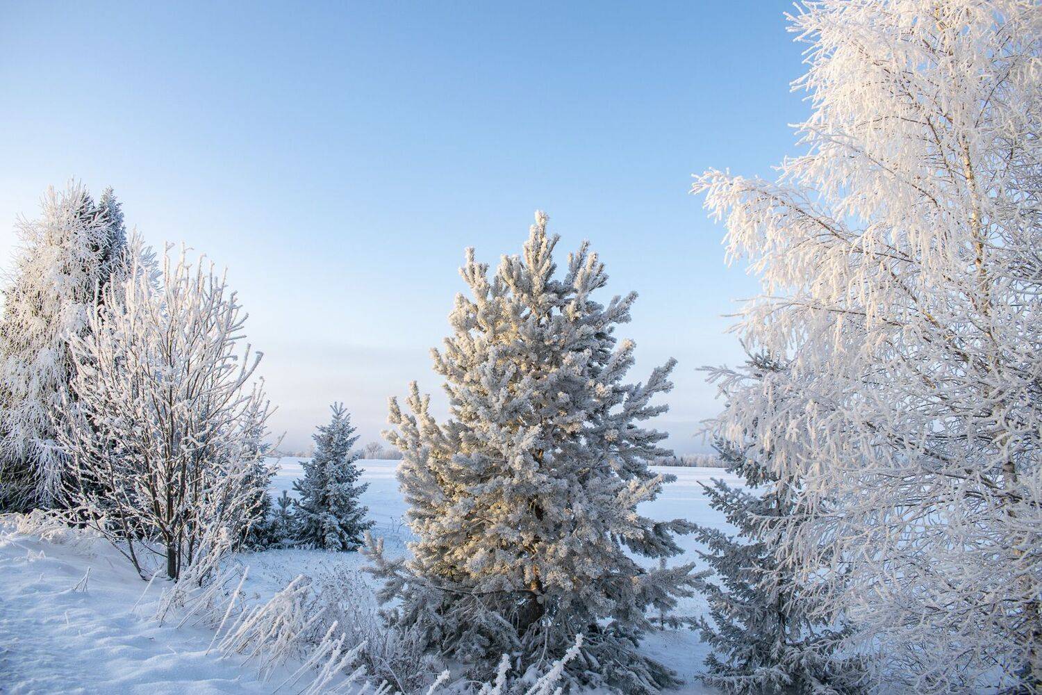 , Галина Луценко